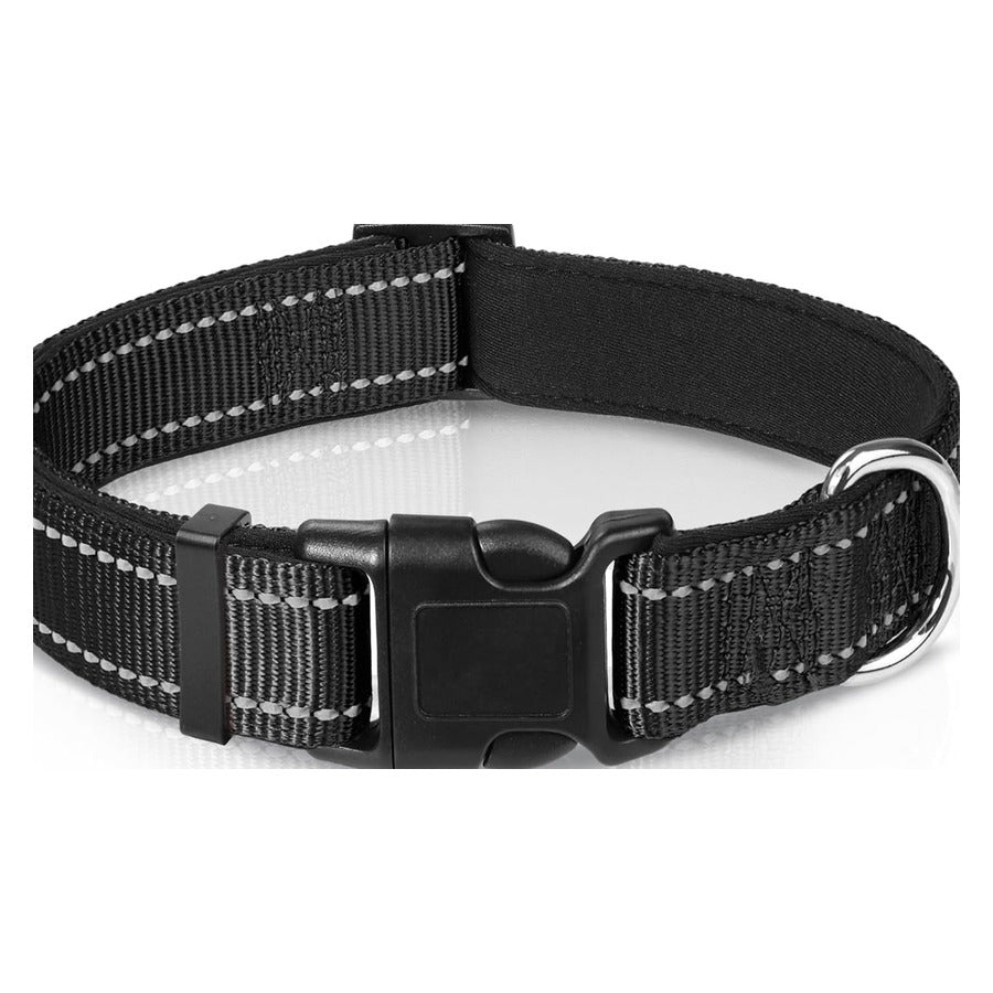 Matching Belamya collar, adjustable reflective nylon