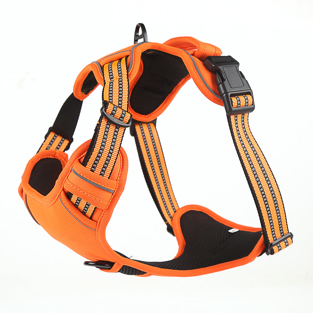 Belamya harness in orange