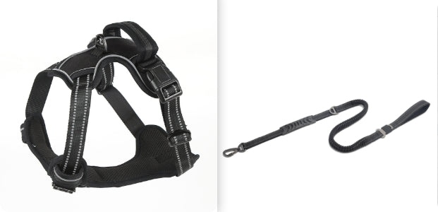 Belamya Signature Pack in black