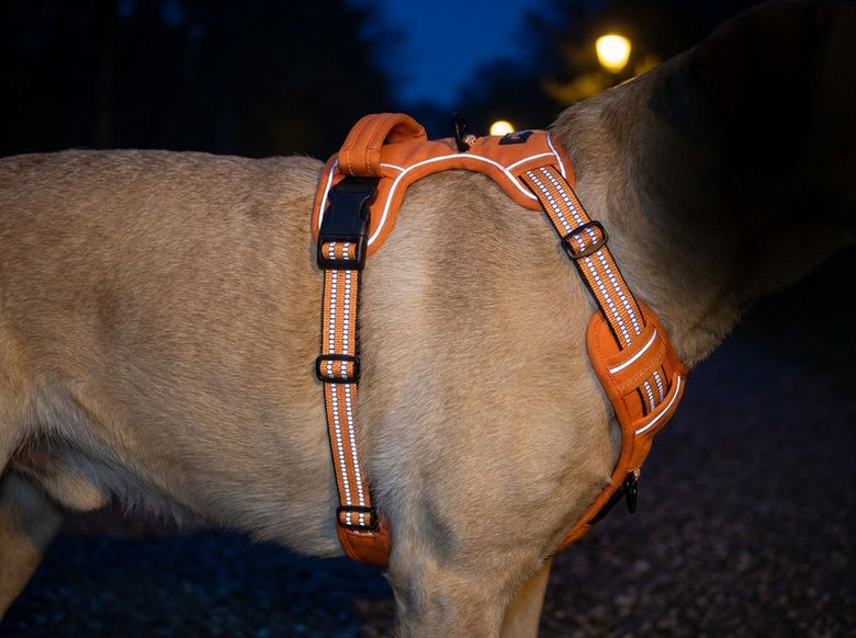 The reflective strips catch headlights at night